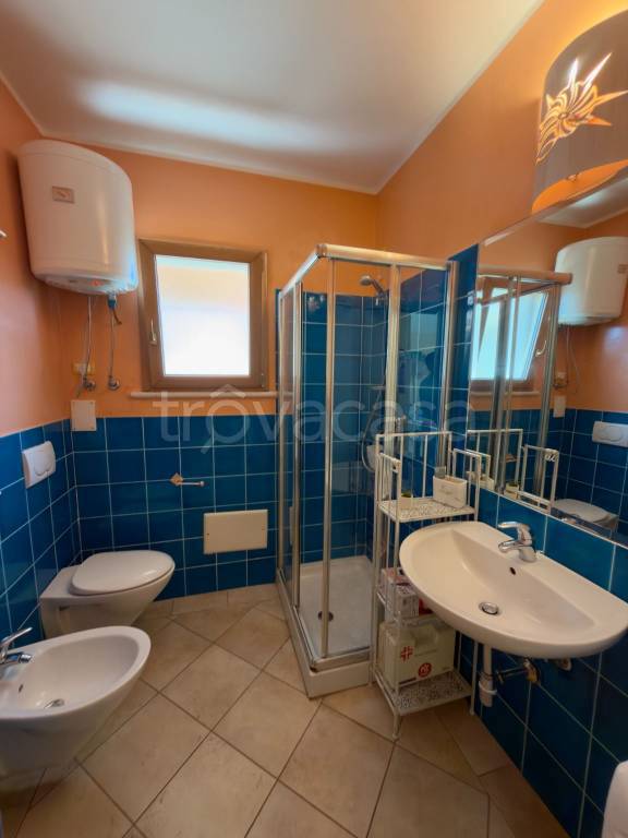 immagine annuncio 9 di 14