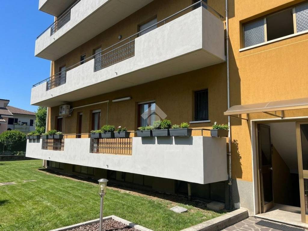 immagine annuncio 1 di 14