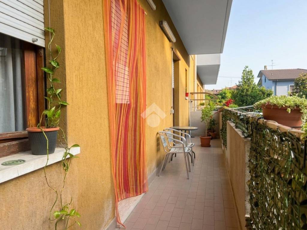 immagine annuncio 11 di 14