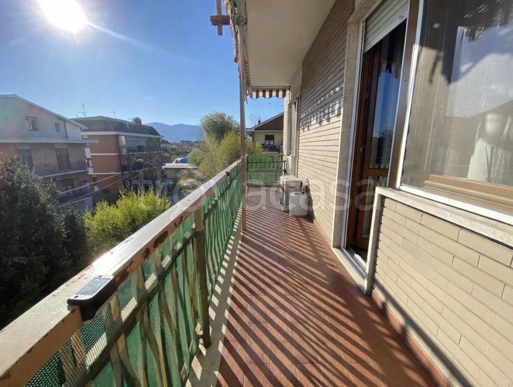 immagine annuncio 3 di 14