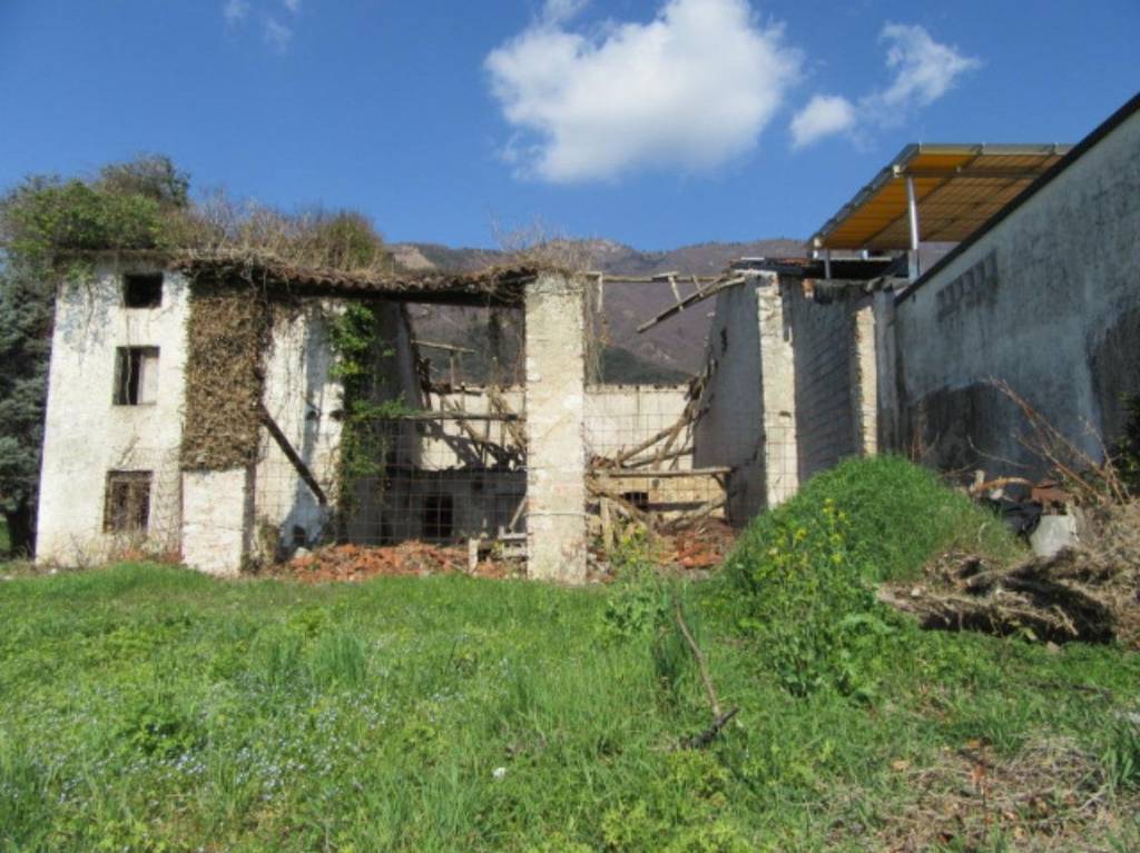 immagine annuncio 3 di 7