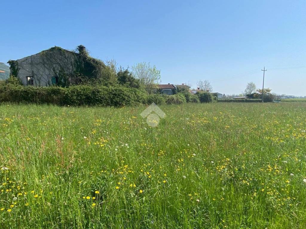 immagine annuncio 5 di 7