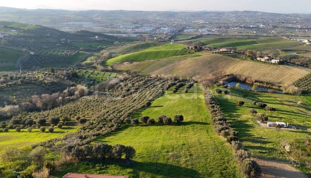 immagine annuncio 13 di 15