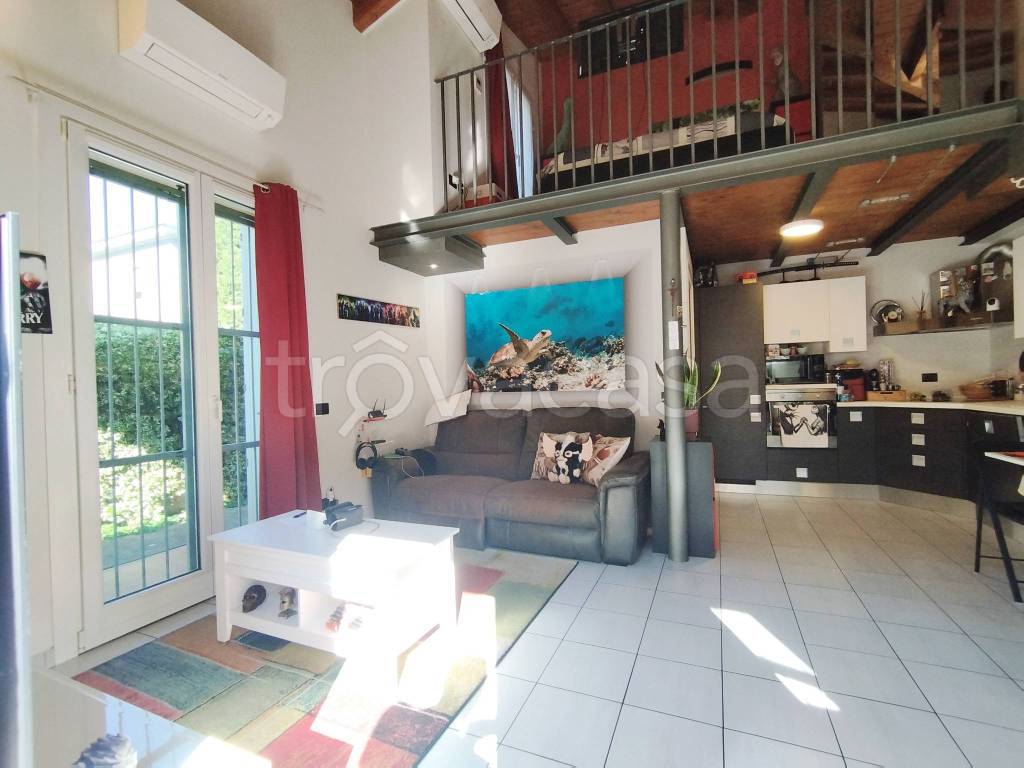 immagine annuncio 5 di 15