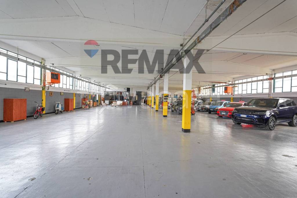 immagine annuncio 9 di 15