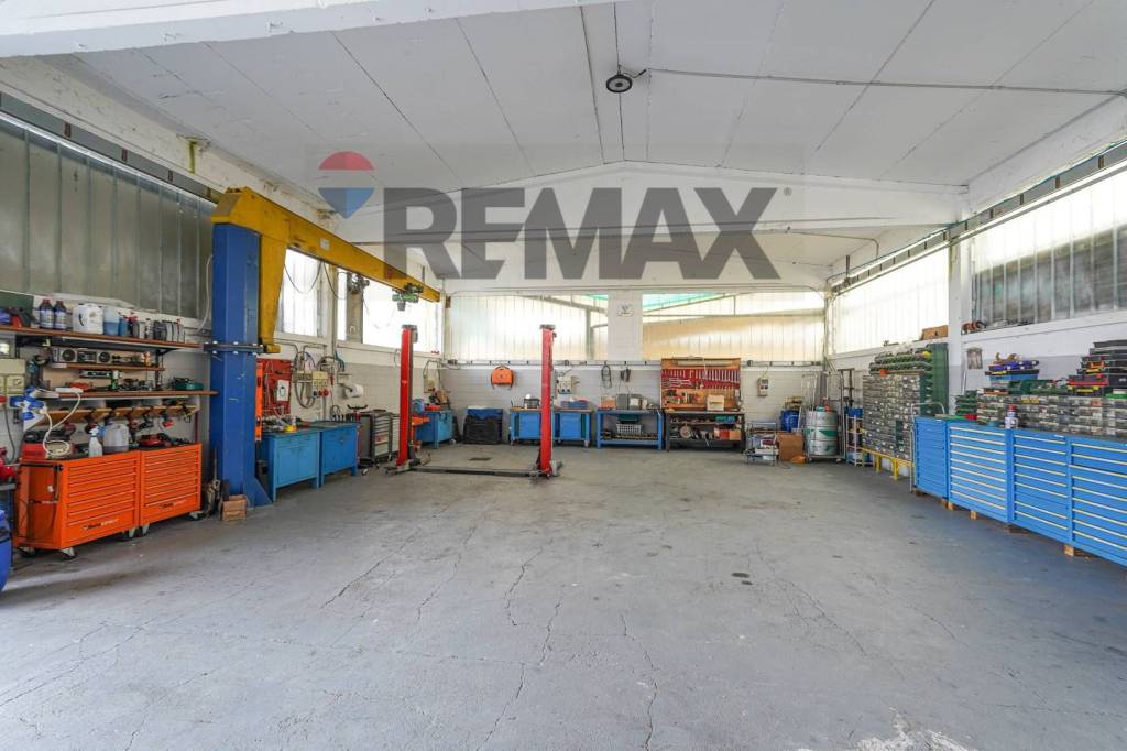 immagine annuncio 11 di 15