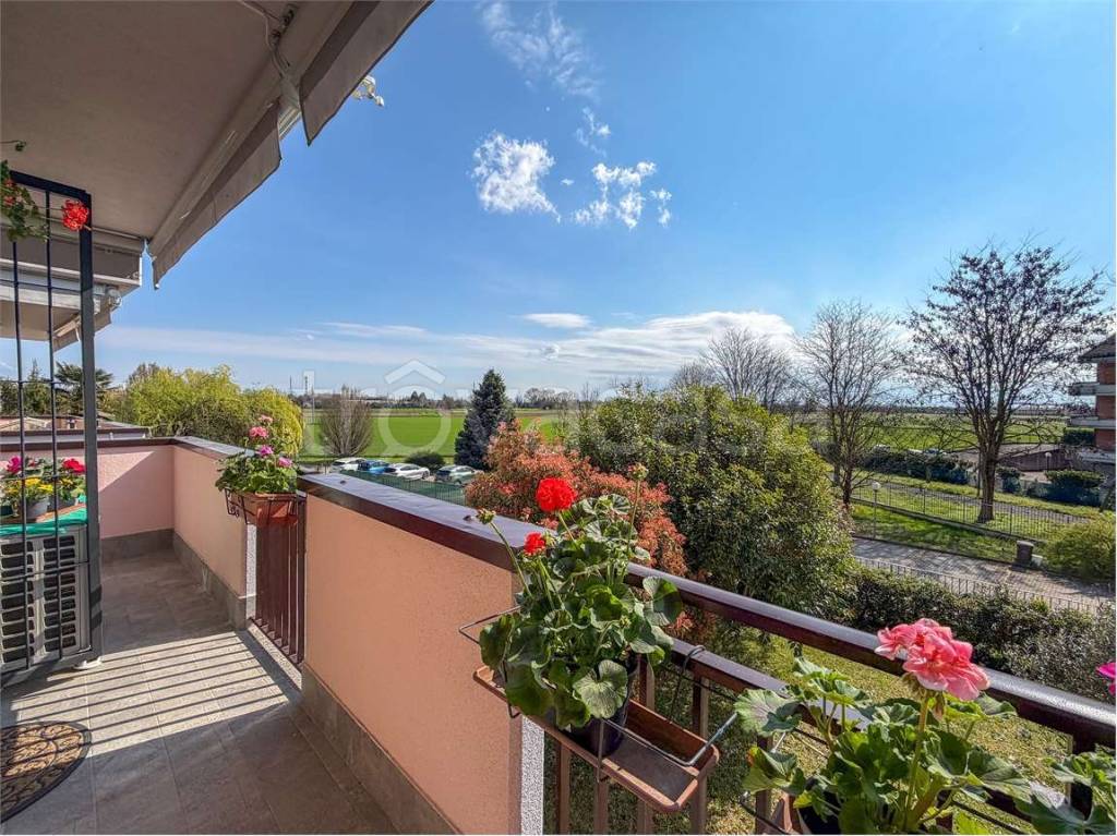 immagine annuncio 1 di 13