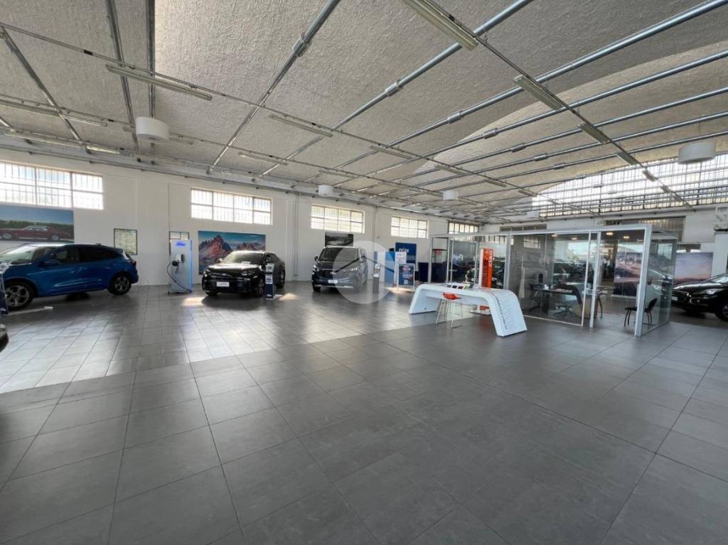 immagine annuncio 4 di 15