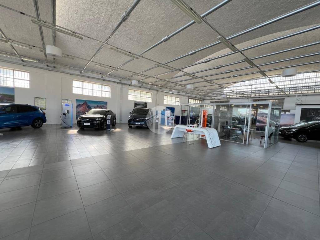 immagine annuncio 9 di 15