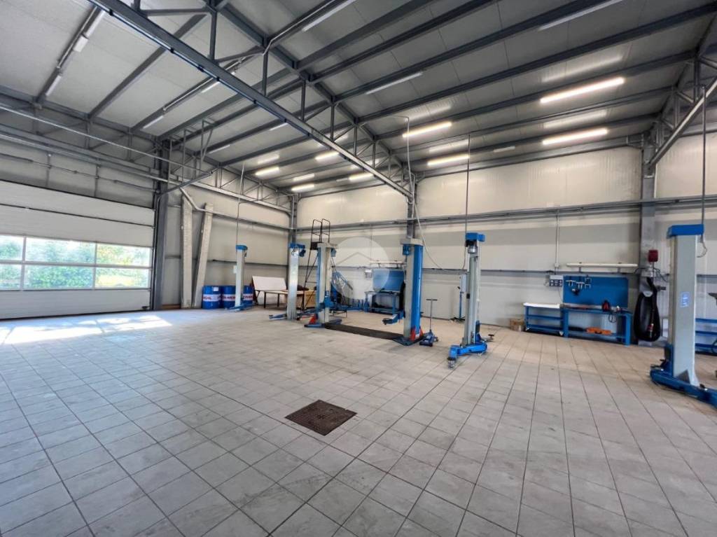 immagine annuncio 10 di 15