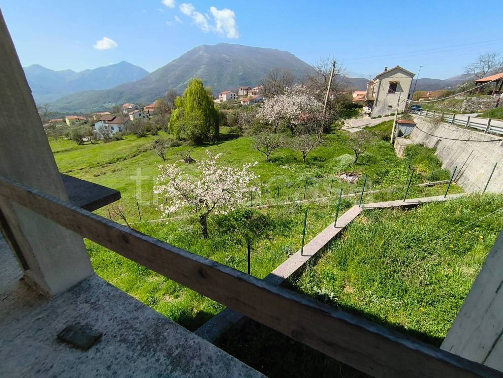 immagine annuncio 4 di 14