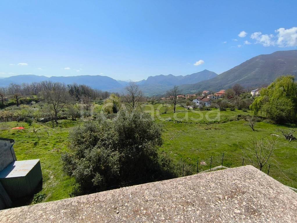 immagine annuncio 5 di 14