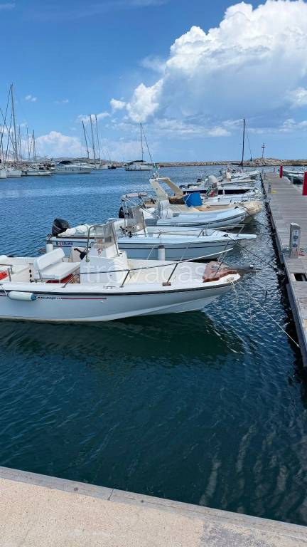 immagine annuncio 10 di 15