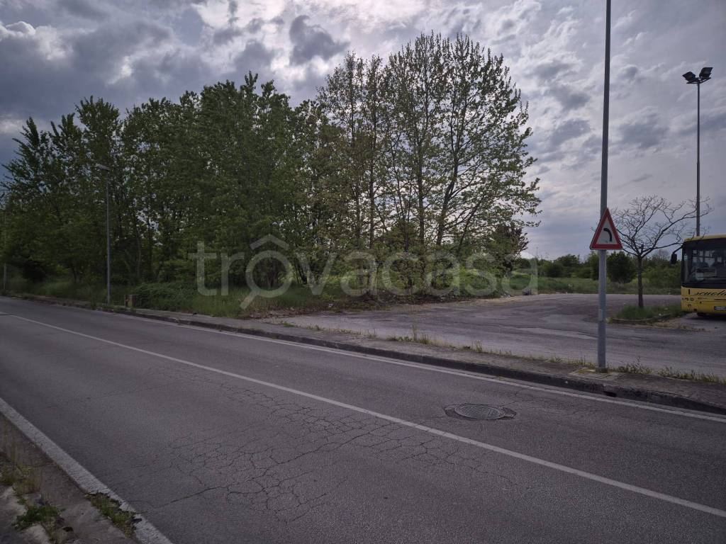 immagine annuncio 2 di 9