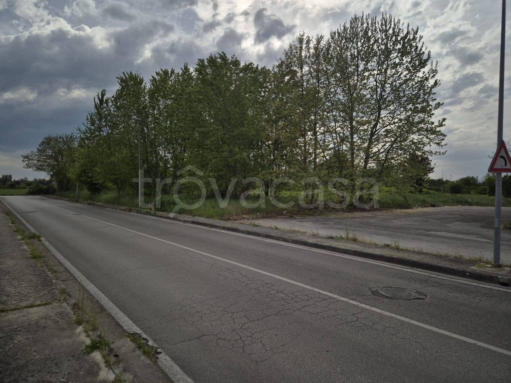 immagine annuncio 3 di 9