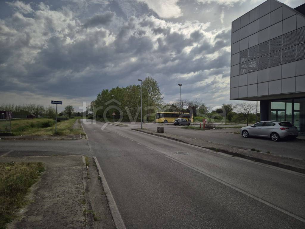 immagine annuncio 5 di 9