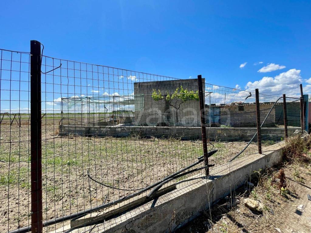 immagine annuncio 2 di 4