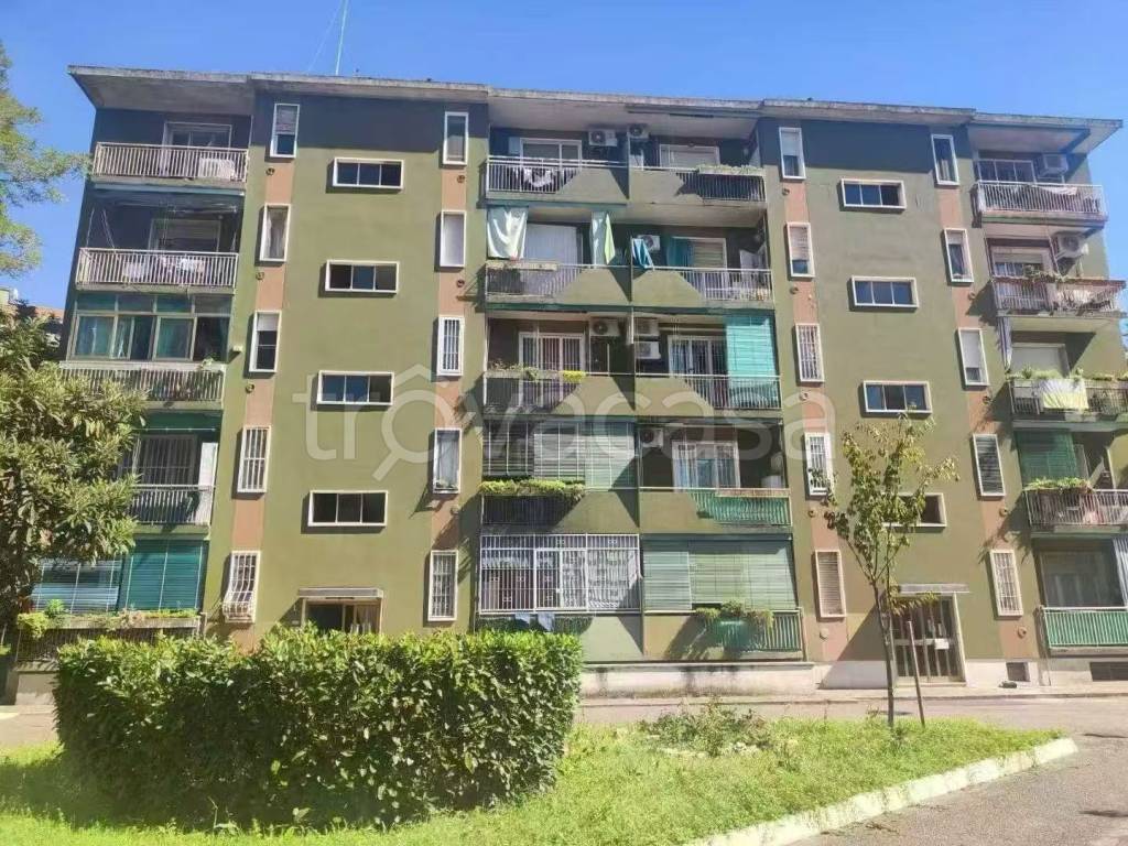 immagine annuncio 6 di 7