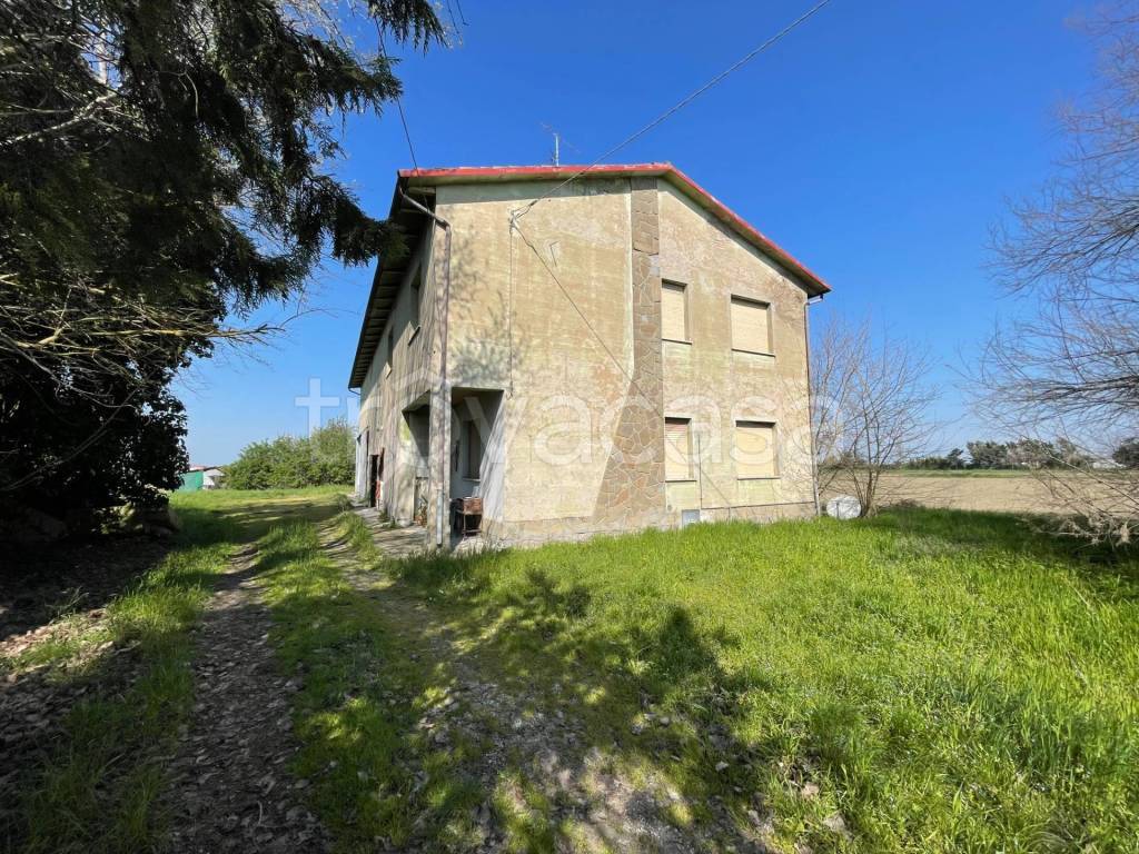 immagine annuncio 2 di 6