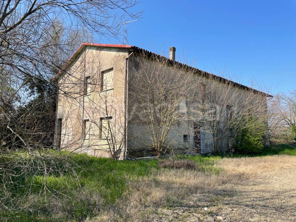 immagine annuncio 4 di 6