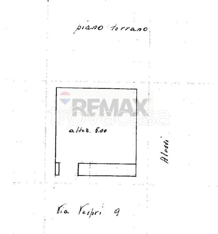 immagine annuncio 12 di 13