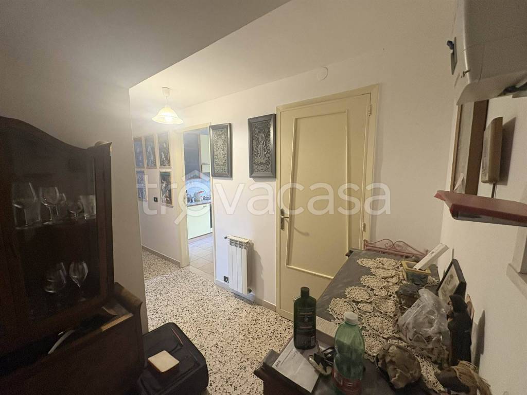 immagine annuncio 9 di 14