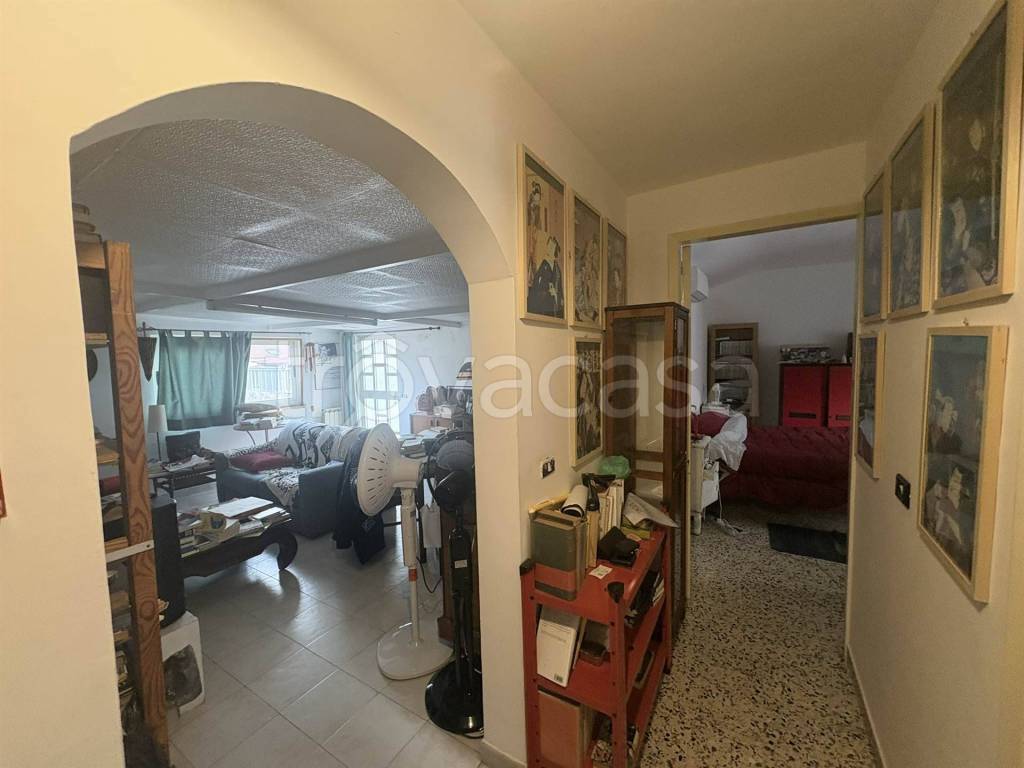 immagine annuncio 11 di 14