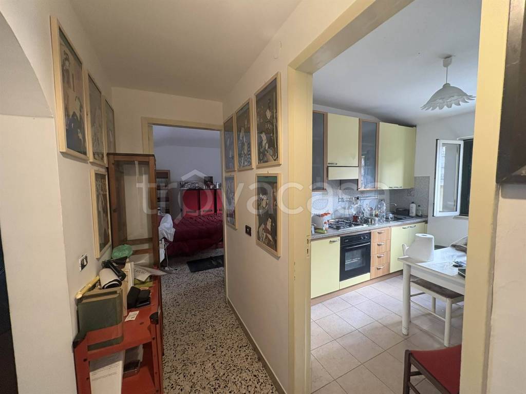 immagine annuncio 12 di 14