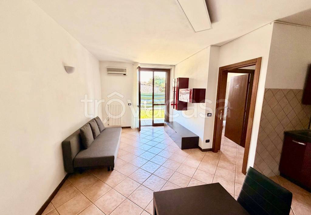 immagine annuncio 6 di 15