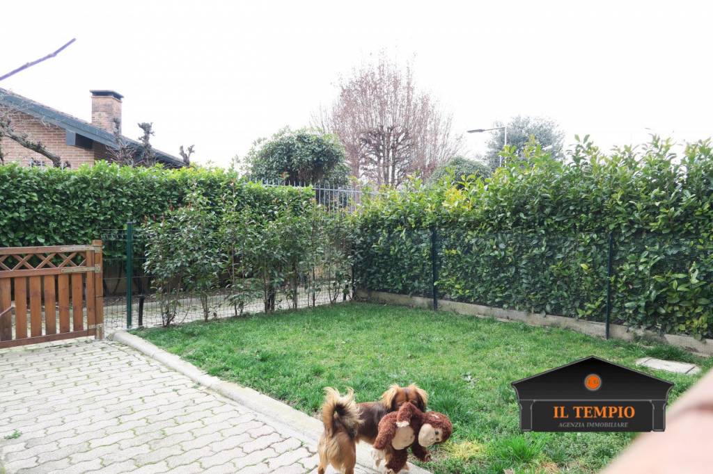 immagine annuncio 13 di 15