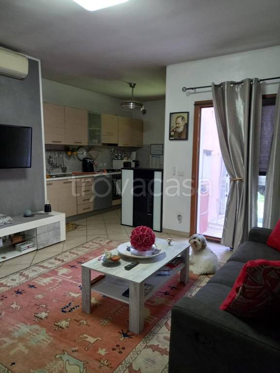 immagine annuncio 10 di 15