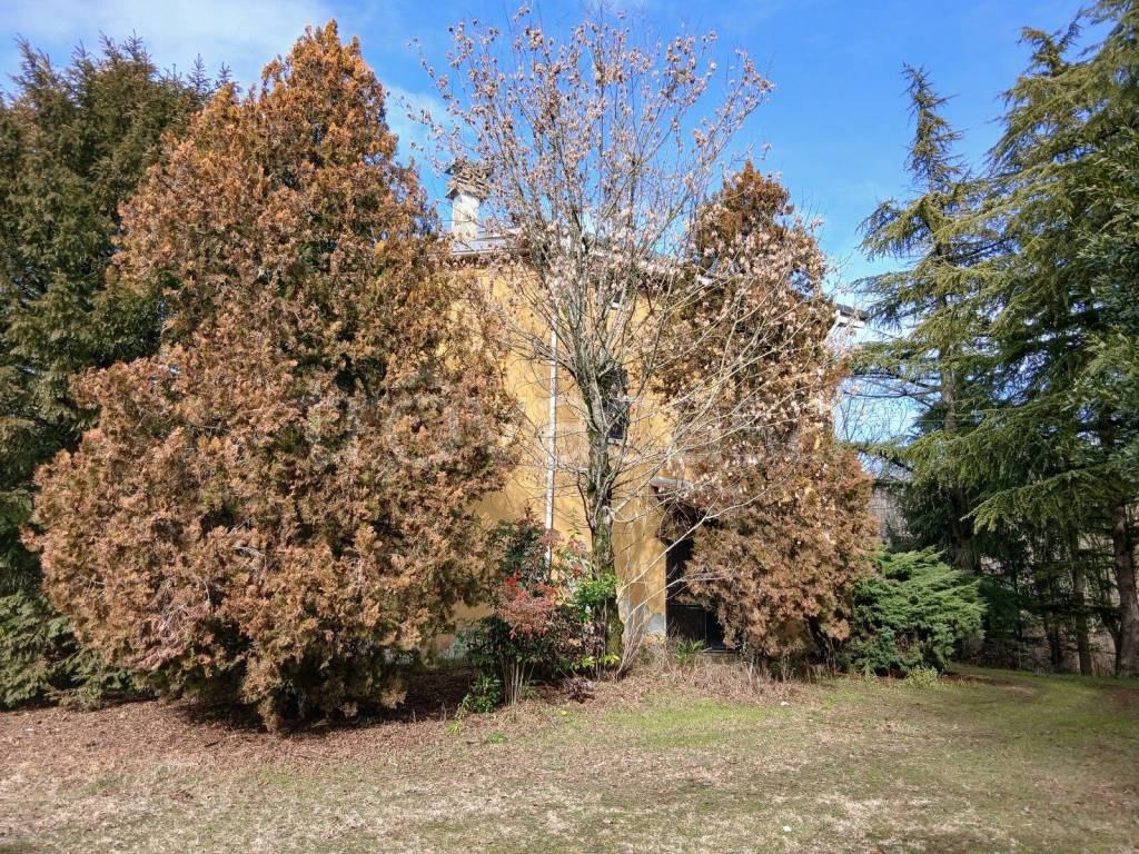 immagine annuncio 4 di 9