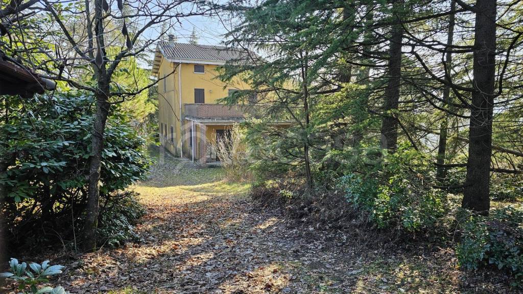 immagine annuncio 1 di 9