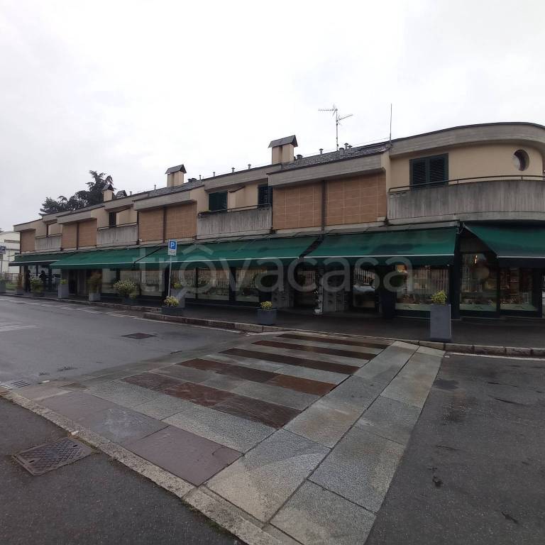 immagine annuncio 1 di 11