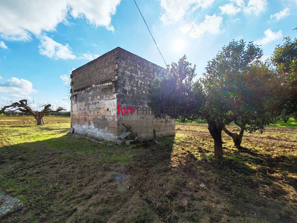 immagine annuncio 3 di 10