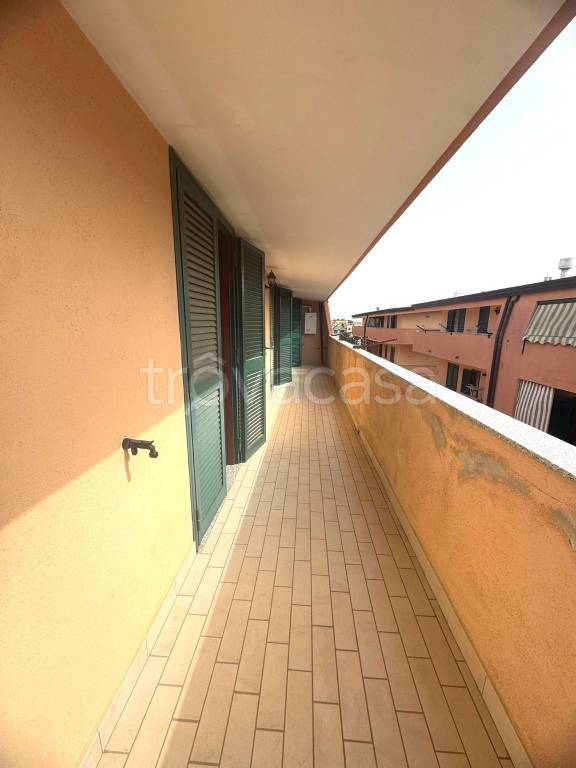 immagine annuncio 11 di 13