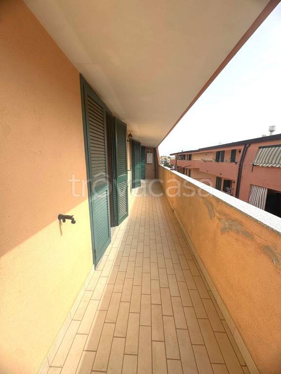 immagine annuncio 4 di 13