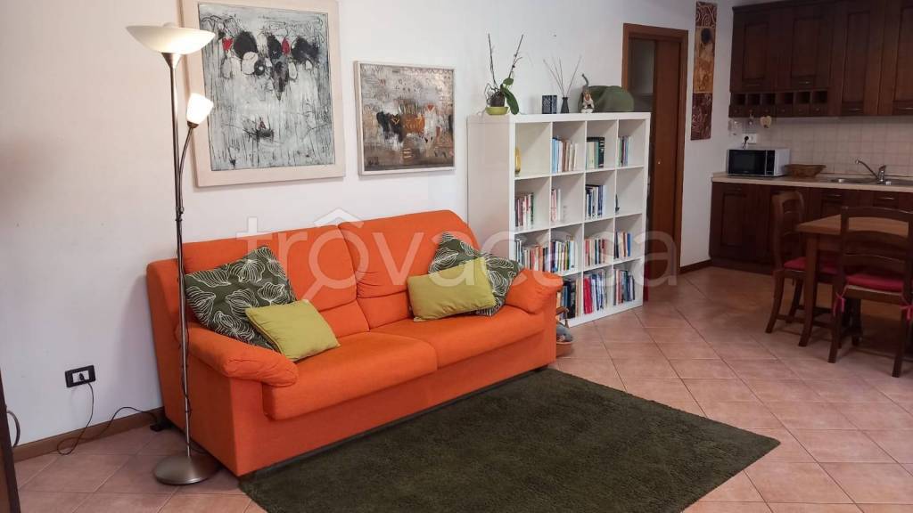 immagine annuncio 11 di 15