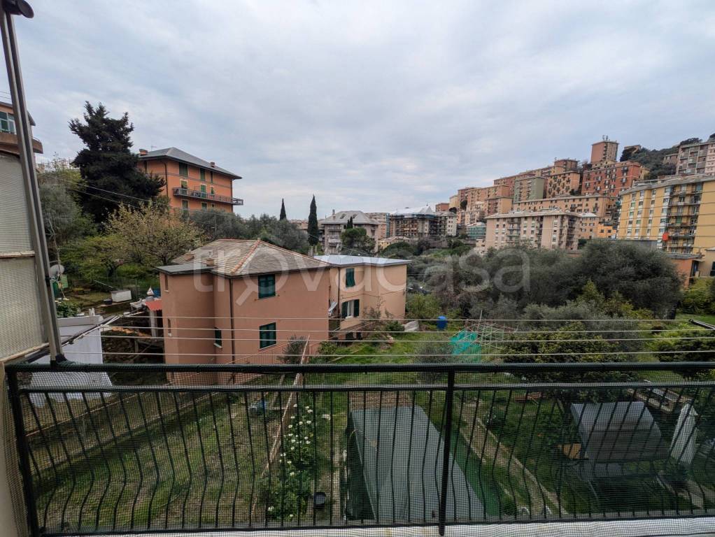 immagine annuncio 3 di 14