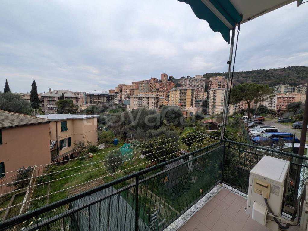 immagine annuncio 2 di 14