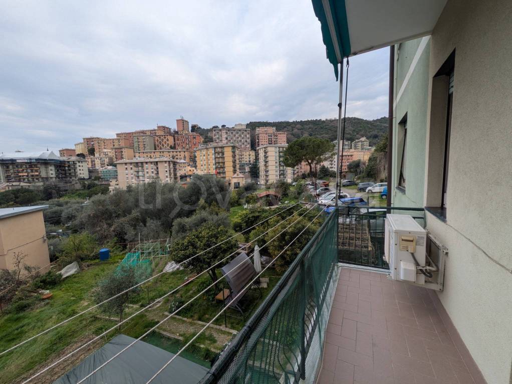 immagine annuncio 4 di 14