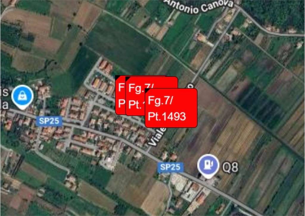 immagine annuncio 5 di 12