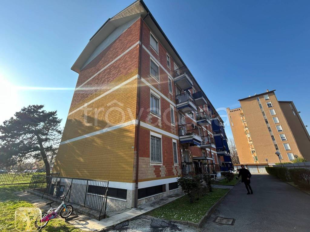 immagine annuncio 3 di 15