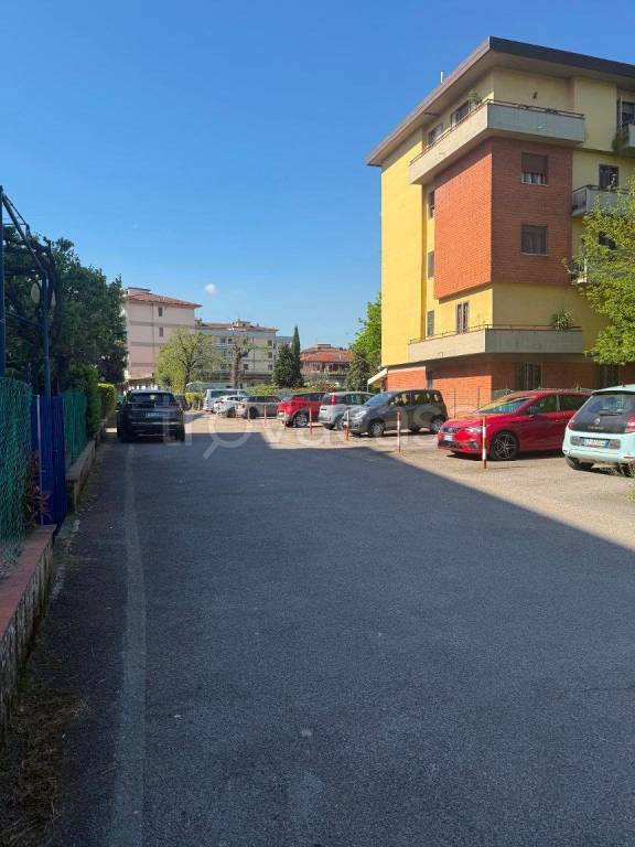 immagine annuncio 4 di 8
