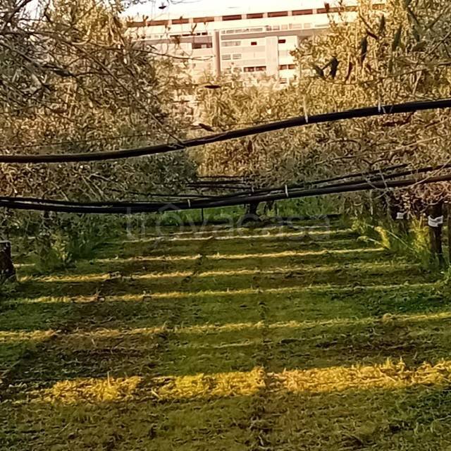 immagine annuncio 2 di 8