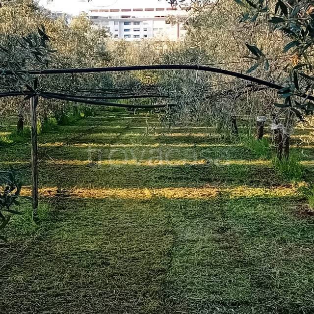 immagine annuncio 3 di 8