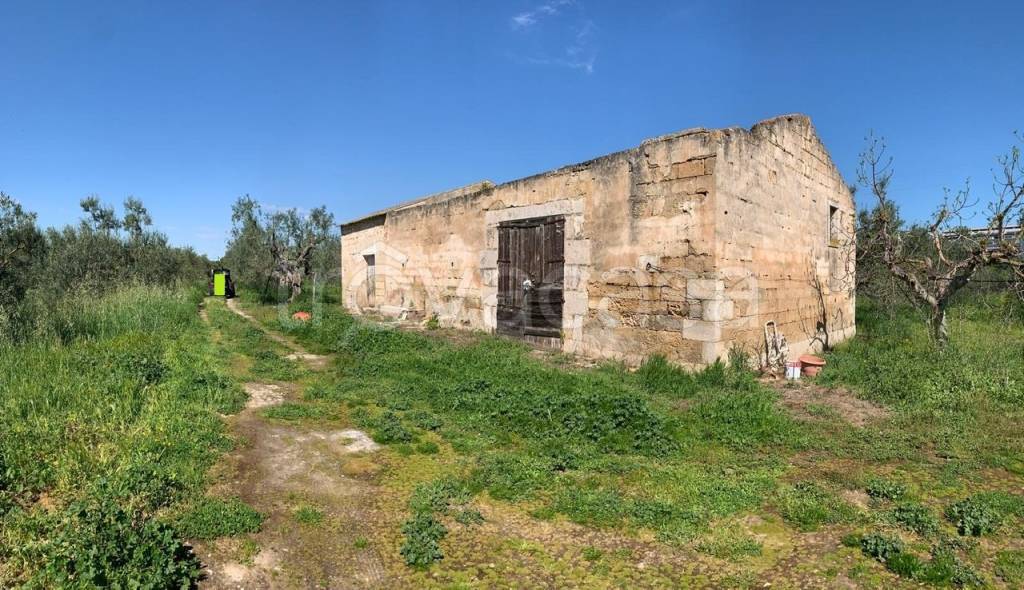 immagine annuncio 1 di 8