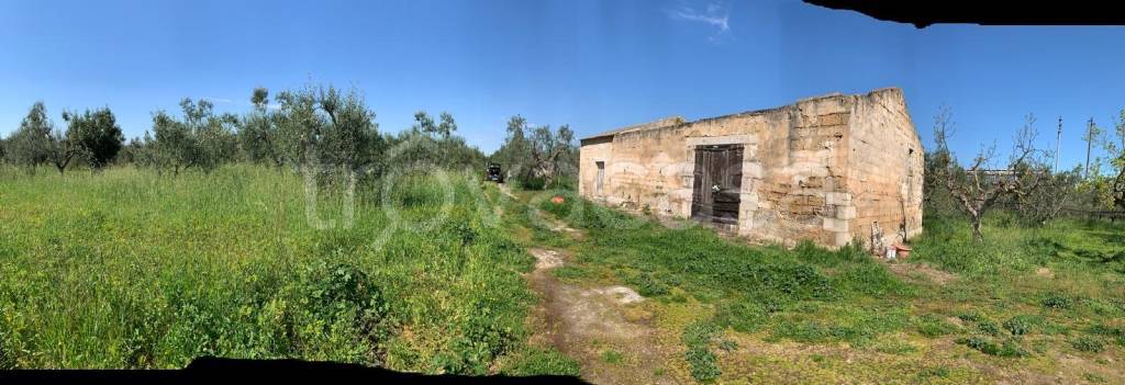 immagine annuncio 5 di 8