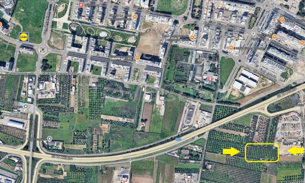 immagine annuncio 6 di 8