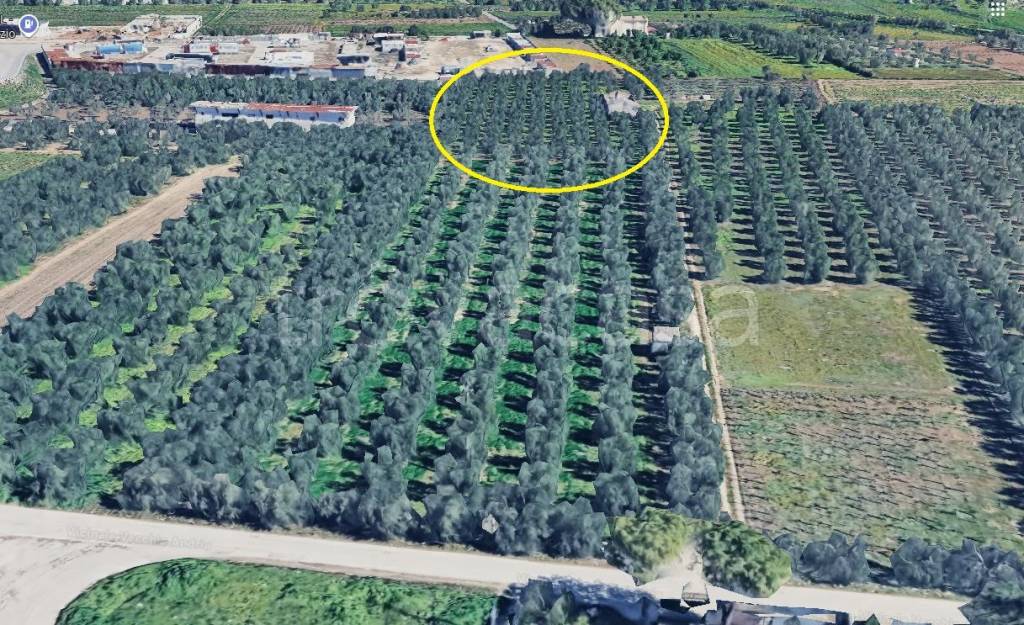 immagine annuncio 7 di 8